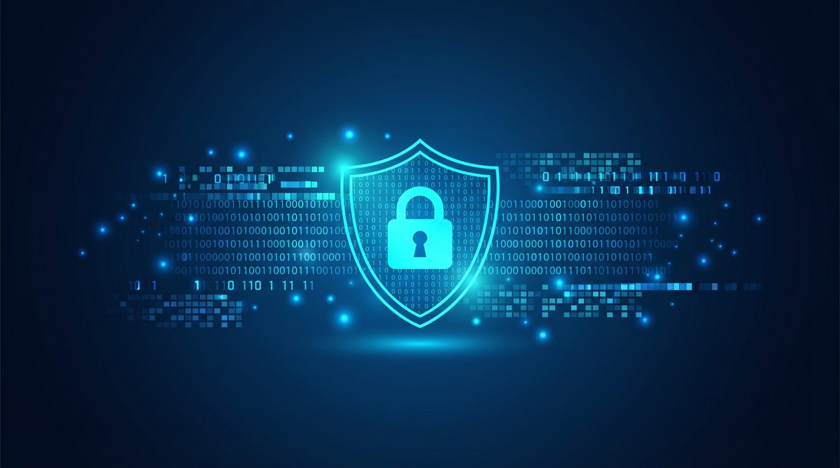 某柚加速器隐私安全保护